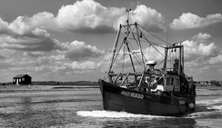 短信压力测试器免费网页版